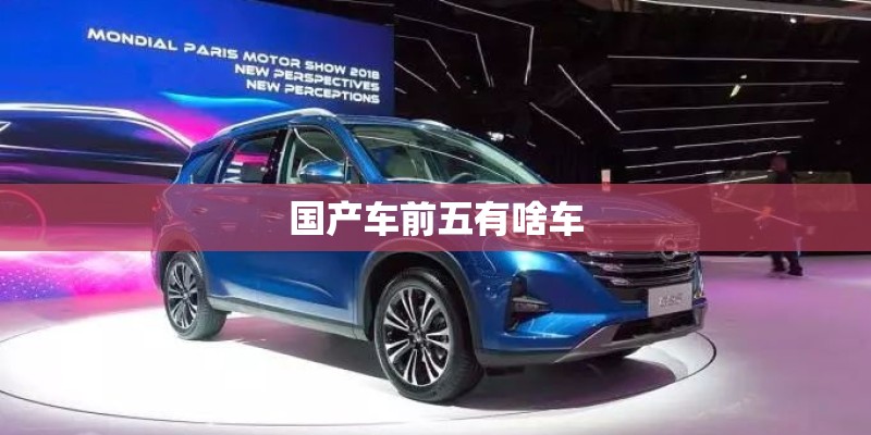 国产车前五有啥车
