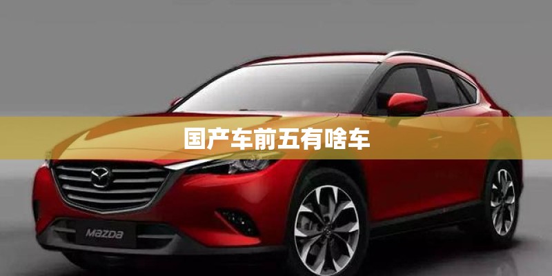 国产车前五有啥车