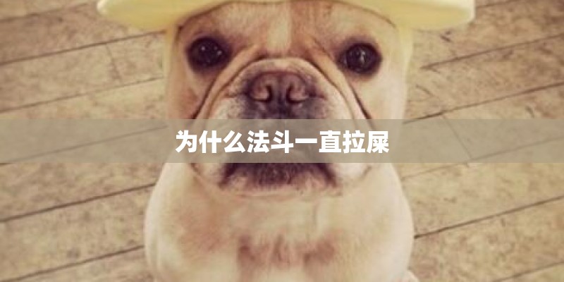 为什么法斗一直拉屎