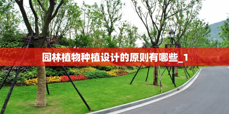 园林植物种植设计的原则有哪些_1