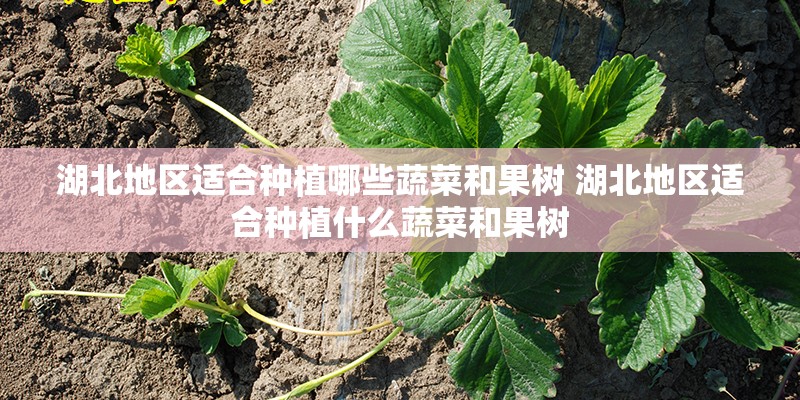 湖北地区适合种植哪些蔬菜和果树 湖北地区适合种植什么蔬菜和果树
