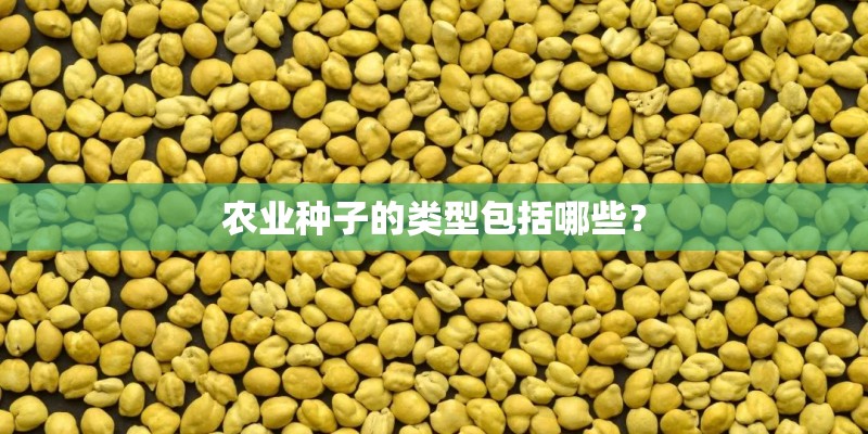 农业种子的类型包括哪些？