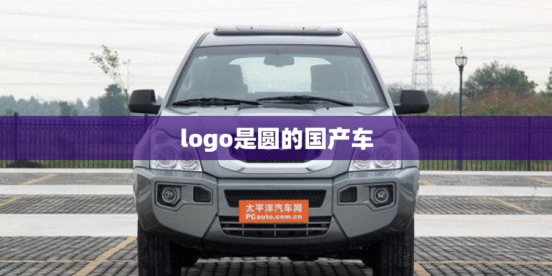 logo是圆的国产车