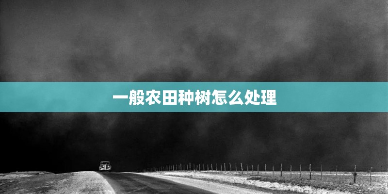 一般农田种树怎么处理