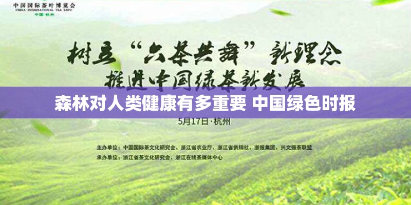 森林对人类健康有多重要 中国绿色时报