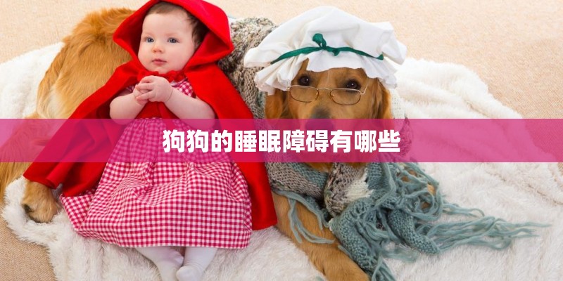 狗狗的睡眠障碍有哪些