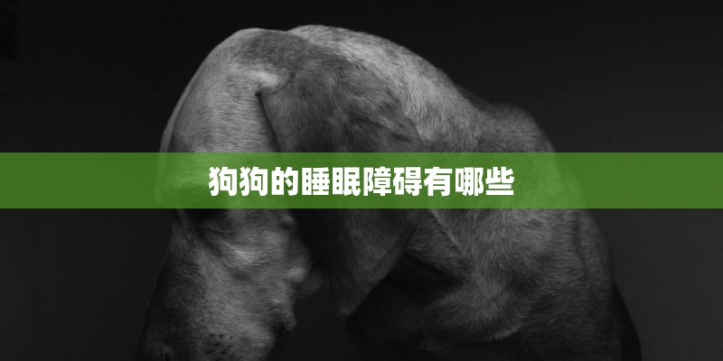 狗狗的睡眠障碍有哪些