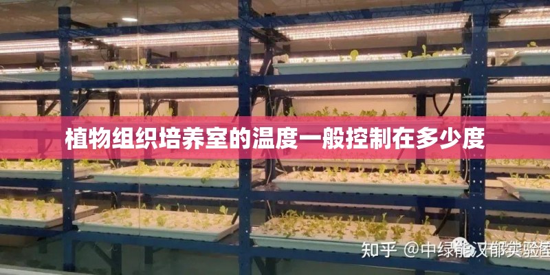 植物组织培养室的温度一般控制在多少度