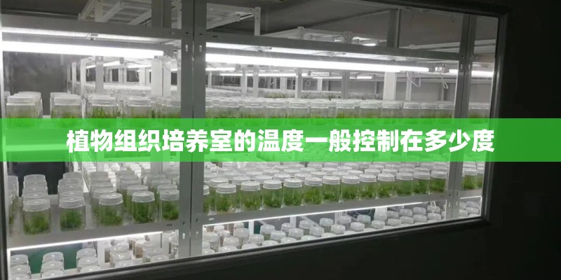 植物组织培养室的温度一般控制在多少度