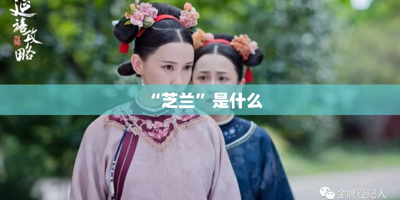 “芝兰”是什么