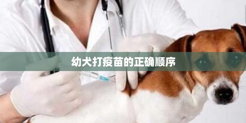 幼犬打疫苗的正确顺序