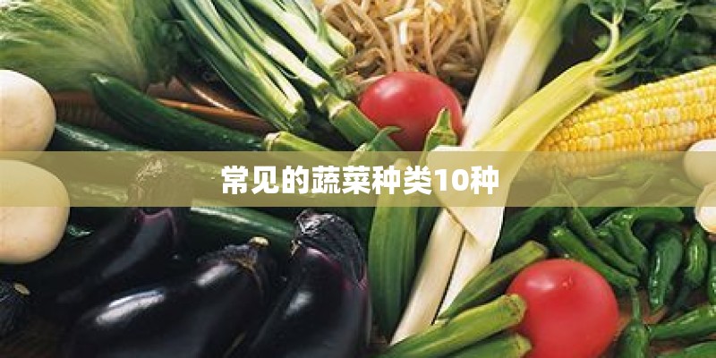 常见的蔬菜种类10种