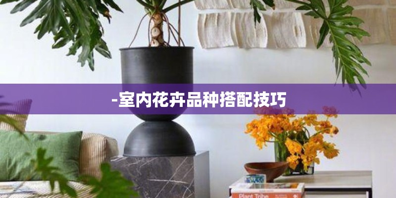 -室内花卉品种搭配技巧