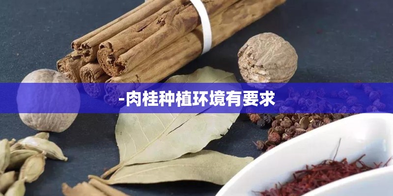-肉桂种植环境有要求