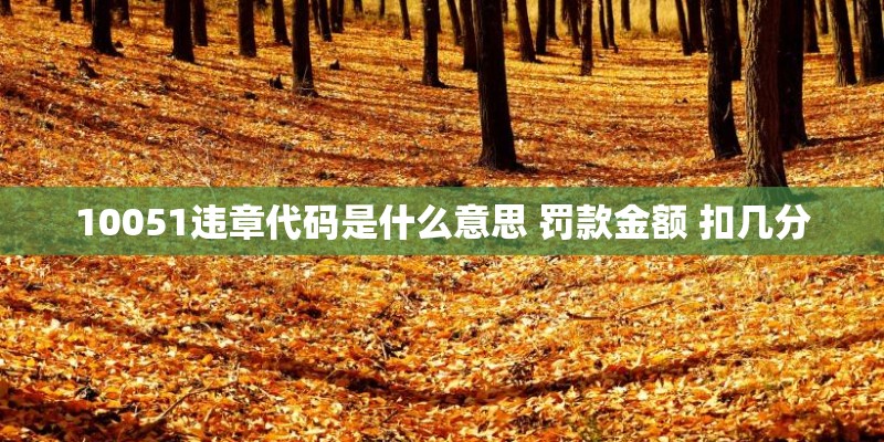 10051违章代码是什么意思 罚款金额 扣几分