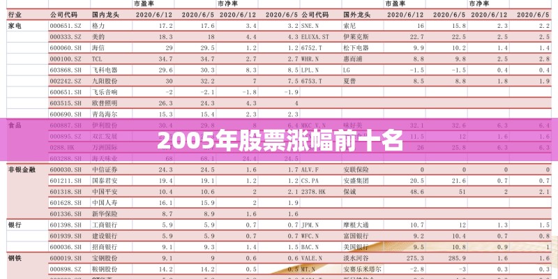 2005年股票涨幅前十名