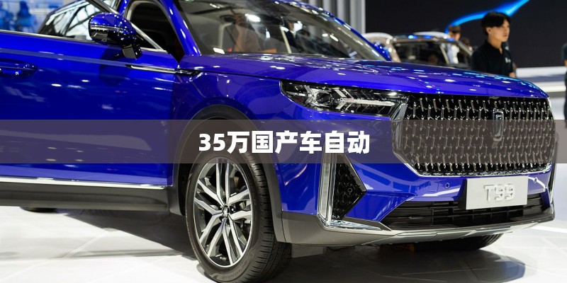 35万国产车自动