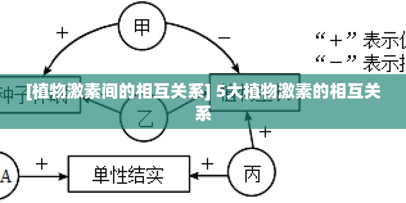 [植物激素间的相互关系] 5大植物激素的相互关系