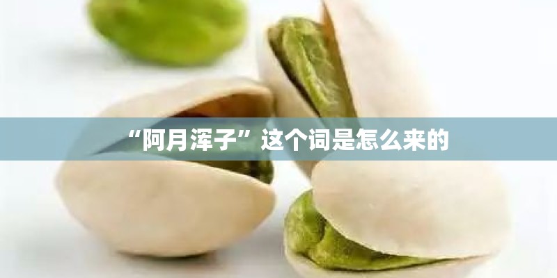 “阿月浑子”这个词是怎么来的 “阿月浑子”这个词是怎么来的
