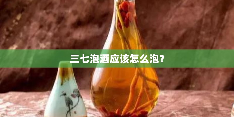 三七泡酒应该怎么泡？