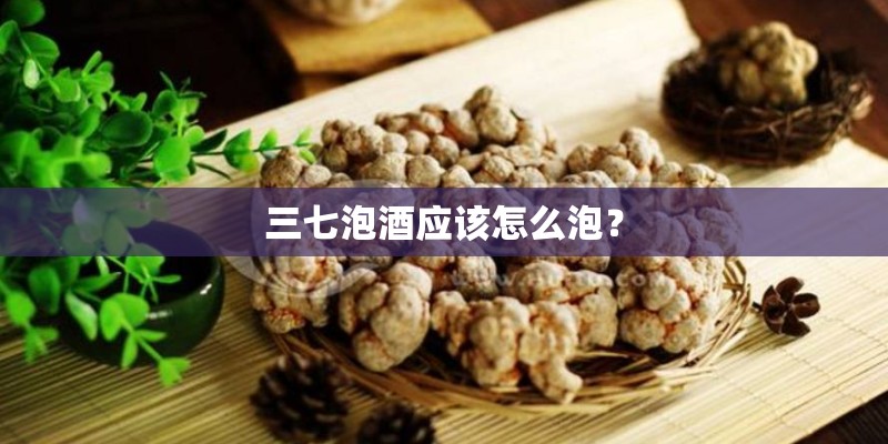 三七泡酒应该怎么泡？