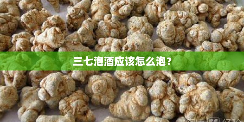 三七泡酒应该怎么泡？