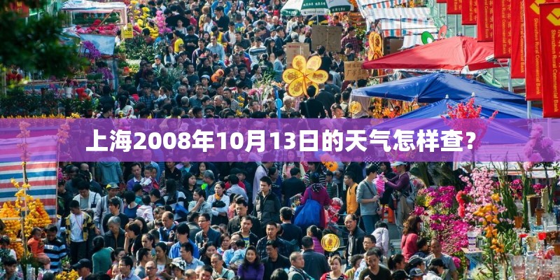 上海2008年10月13日的天气怎样查？