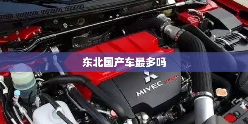 东北国产车最多吗