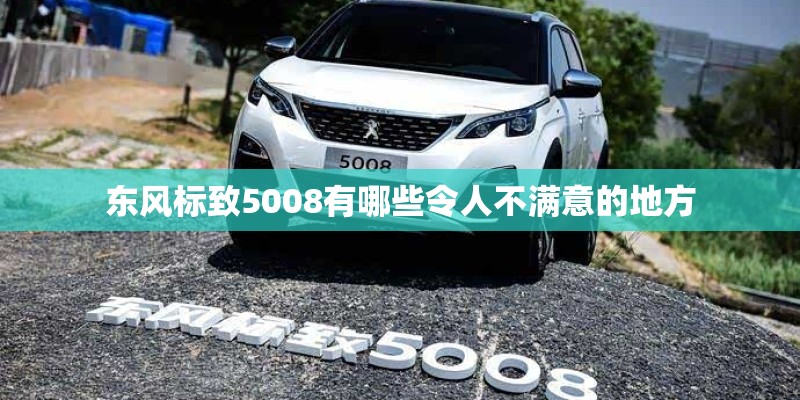 东风标致5008有哪些令人不满意的地方