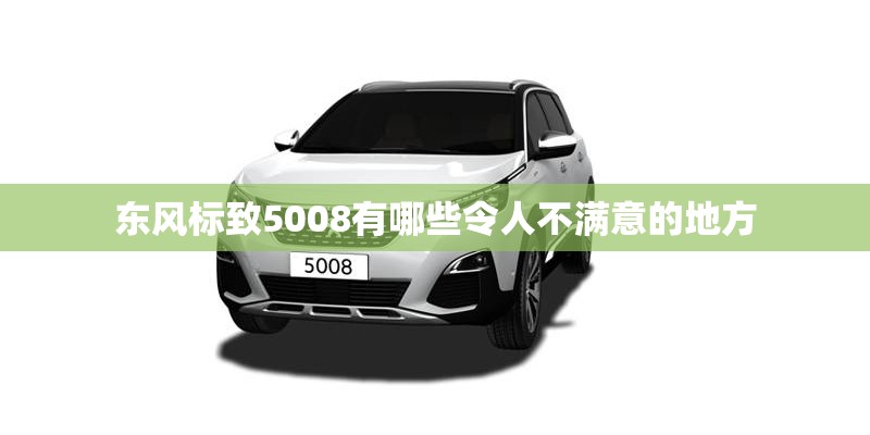 东风标致5008有哪些令人不满意的地方