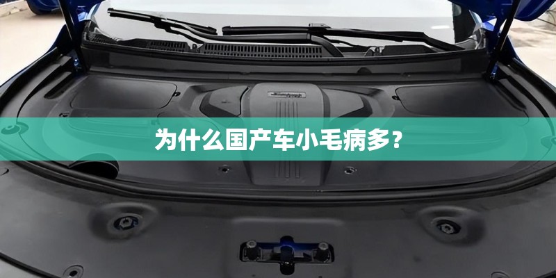 为什么国产车小毛病多? 为什么国产车小毛病多?