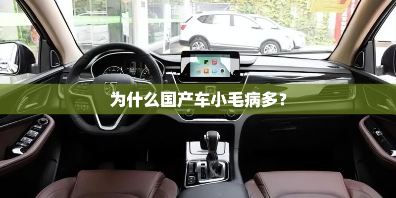 为什么国产车小毛病多? 为什么国产车小毛病多?