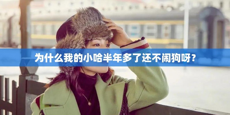为什么我的小哈半年多了还不闹狗呀？