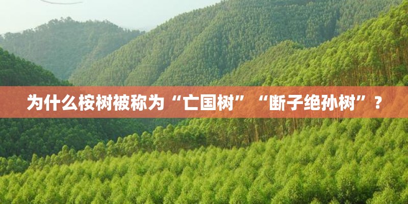 为什么桉树被称为“亡国树”“断子绝孙树”？