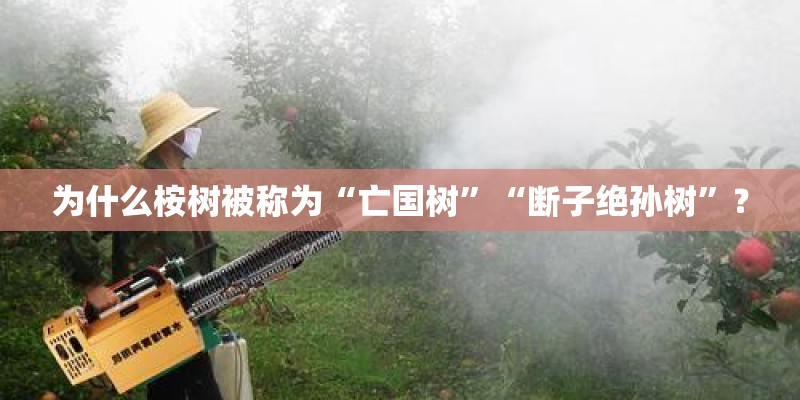 为什么桉树被称为“亡国树”“断子绝孙树”？