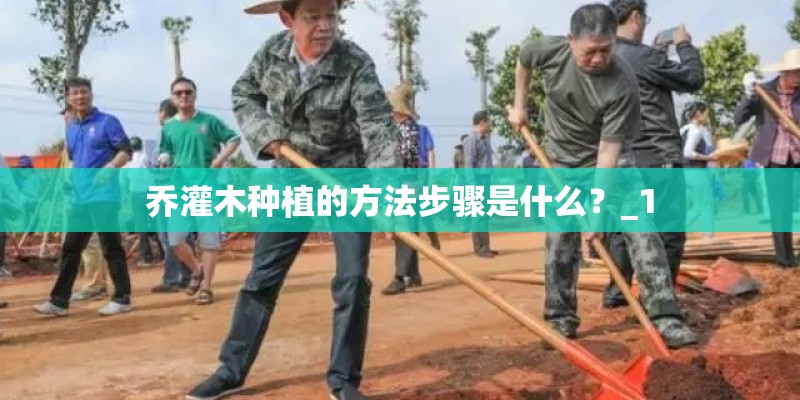 乔灌木种植的方法步骤是什么？_1