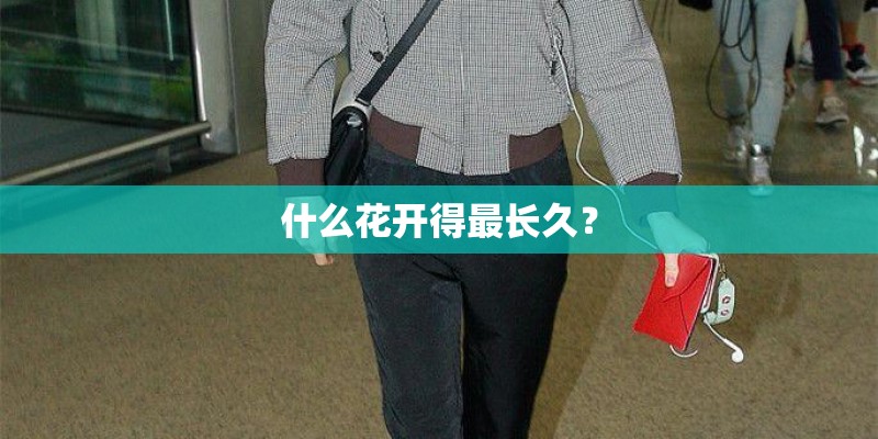 什么花开得最长久？