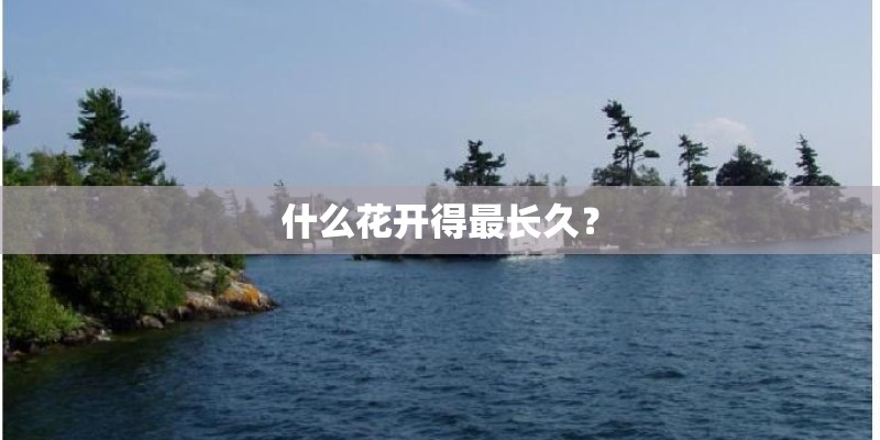 什么花开得最长久? 什么花开得最长久?