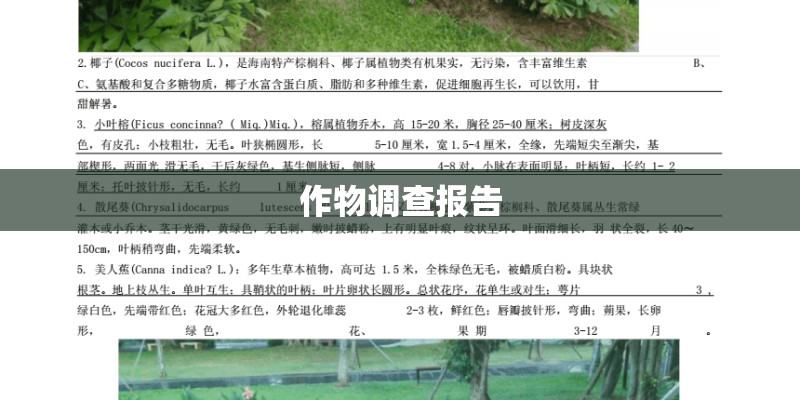 作物调查报告