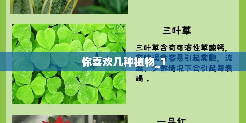你喜欢几种植物_1