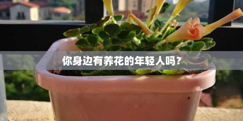 你身边有养花的年轻人吗? 你身边有养花的年轻人吗?