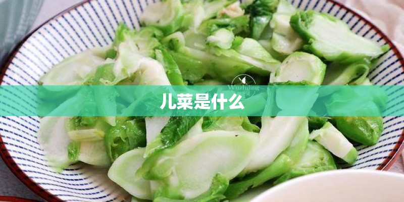儿菜是什么