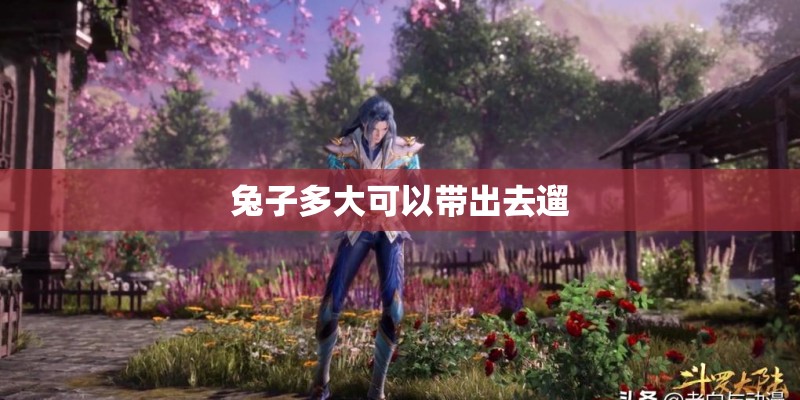 兔子多大可以带出去遛