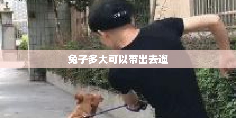 兔子多大可以带出去遛