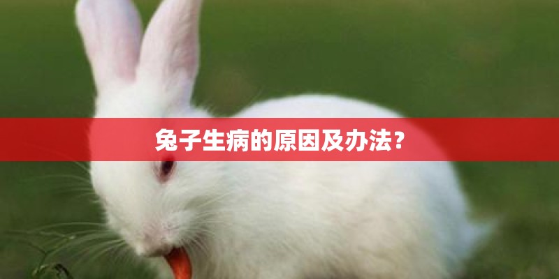 兔子生病的原因及办法？