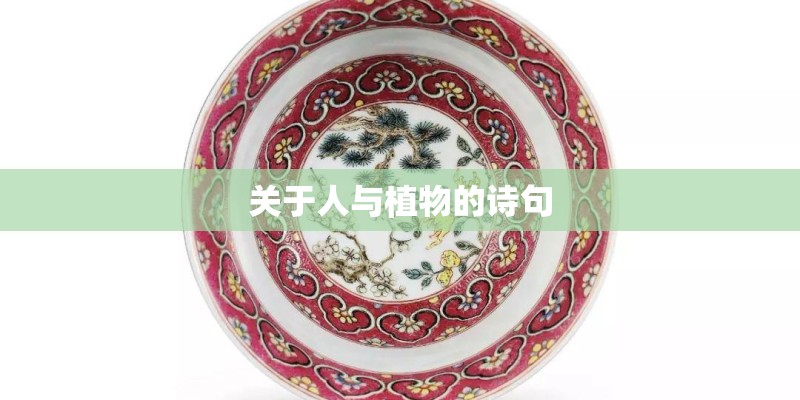 关于人与植物的诗句