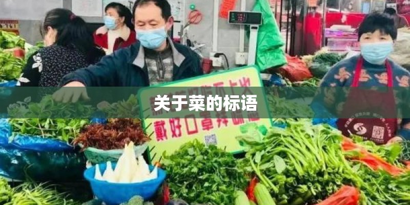 关于菜的标语
