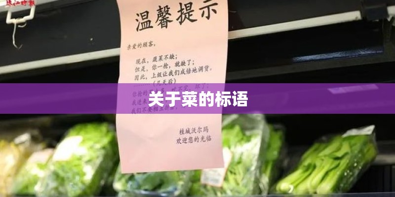 关于菜的标语