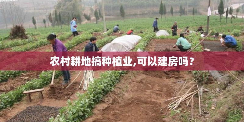 农村耕地搞种植业,可以建房吗？