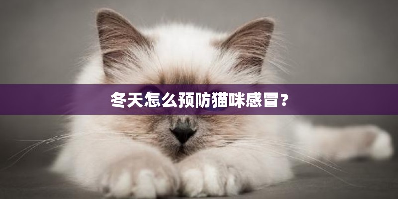 冬天怎么预防猫咪感冒? 冬天怎么预防猫咪感冒?